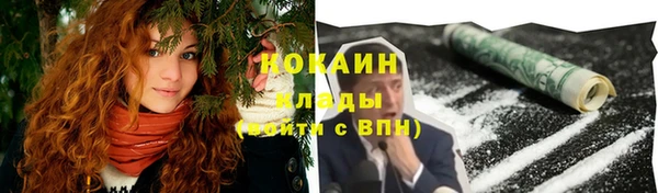 шишки Гусев