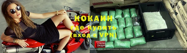 шишки Гусев