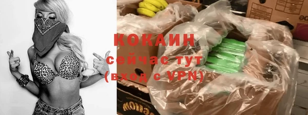 шишки Гусев