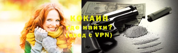шишки Гусев