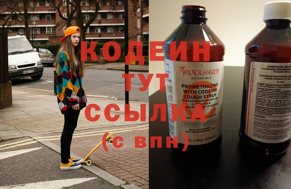шишки Гусев