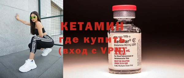 шишки Гусев