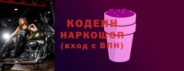шишки Гусев