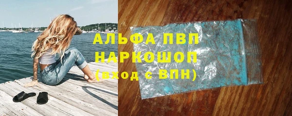 шишки Гусев