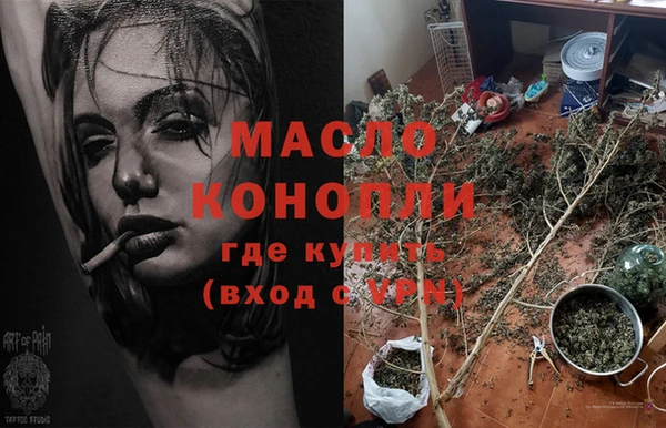 шишки Гусев