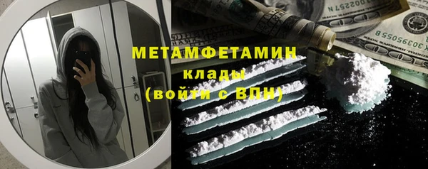 шишки Гусев